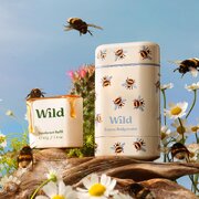 Wild Honey & Cactus Flower Bee Case Dezodoranta zīmulis, 40 g