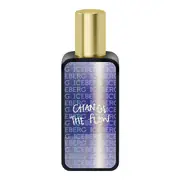 Iceberg Change The Flow For Him Tualetes ūdens 30ml