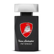 Tonino Lamborghini Intenso Tualetes ūdens: testeris 125ml