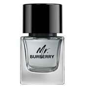 Burberry Mr. Burberry for Men Eau de toilette Tualetes ūdens 50ml