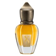 Xerjoff Tempest Perfume Extract Smaržas 15ml