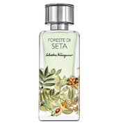 Salvatore Ferragamo Foreste Di Seta Smaržas 100ml