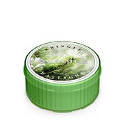 Kringle Candle Balsam Egles aromātiskā svece (35 g)