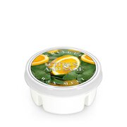 Kringle Candle CITRUS & SAGE aromātiskais vasks (35 g)