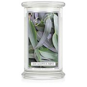 Kringle Candle Eucalyptus Mint liela 2-dakti aromātiskā svece (624 g)