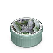 Kringle Candle Eucalyptus Mint aromātiskā svece (35 g)