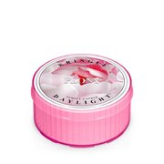 Kringle Candle Peonijas aromātiskā svece (35 g)