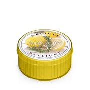 Kringle Candle Rosemary Citronu aromātiskā svece (35 g)
