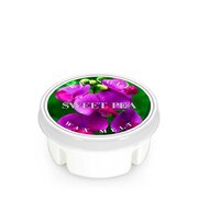 Kringle Candle Sweet Pea aromātisks vasks (35 g)