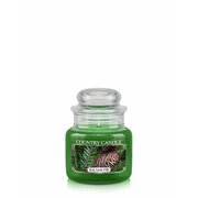 Lauku sveču balzams Egles aromātiskā svece, 1 dakts (104 g)