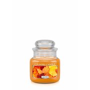 Lauku sveces lapu aromātiskā svece, mini 1 dakts (104 g)