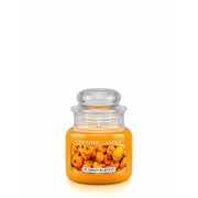 Lauku svece Pumpkin Harvest aromātiskā svece, mini 1 dakts (104 g)