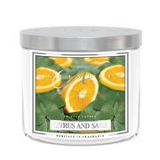 Kringle Candle TUMBLER Citrusaugļu un salvijas aromātiskā svece, vidēji 2 daktis (411 g)