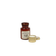 Paddywax Apothecary SEA SALT & SAGE aromātiskā svece (8oz / 226g)