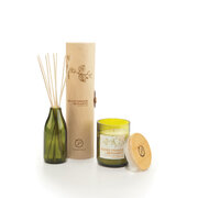 Paddywax Eco Green BLOOD ORANGE & BERGAMOT difuzors (4 unces / 118 ml)