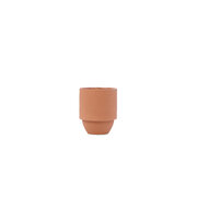 Paddywax Parks GRAND CANYON CERAMIC CACTUS Flower & FARN (11 unces / 311g)