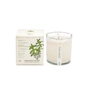KOBO Plant the Box Crushed Mint aromātiskā svece (10 unces / 283g)