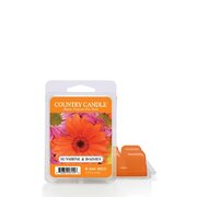 Country Candle Sunshine & Daisies aromātisks vasks (64 g)