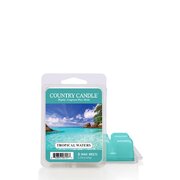 Country Candle Tropical Waters aromātiskais vasks (64 g)