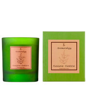 Vila Hermanos Aromathologie Eikalipta aromātiskā svece 200g