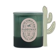 Paddywax Vista Cactus Flower & Aloe aromātiskā svece 340 g