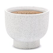 Cipreses un egles aromātiskā svece keramikas burkā (14 unces / 396 g)