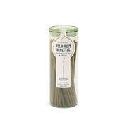 Paddywax Haze Wild Mint & Santal vīraka kociņi stikla iepakojumā 100 gab