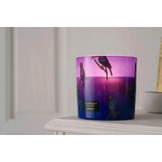 Vila Hermanos Jungletopia Zebra Jungletopia aromātiskā svece 200g