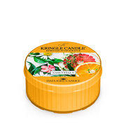 Kringle Candle Essentials aromātiskā sveces aromātiskā svece (42 g)