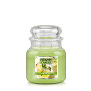 Lauku svece Pineapplerita aromātiskā svece, vidēja, 2 dakts (453 g)