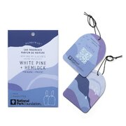 Paddywax Parks GLACIER WHITE PINE & HEMLOCK automašīnu aromāts