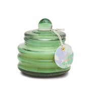 Paddywax BEAM Green: Kaktusa ziedu aromātiskā svece 3 unces / 85g