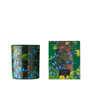 Vila Hermanos Jungletopia BUTTERFLY aromātiskā svece 200g