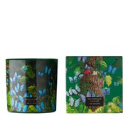 Vila Hermanos Jungletopia Butterfly aromātiskā svece 650g