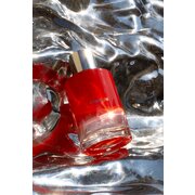 Ladenac Charnelle smaržas 100ml