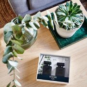 ipuro Essentials Black Bamboo 2x50ml difuzors dāvanu kastītē