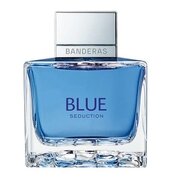 Antonio Banderas Blue Seduction for Men Eau de Toilette Tualetes ūdens: testeris 100ml