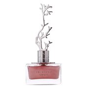 Aurora Scents Deciduous Spring Smaržas 100ml
