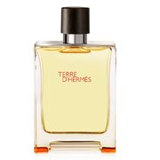 Hermes Terre D'Hermes Pure Parfum Smaržas 75ml