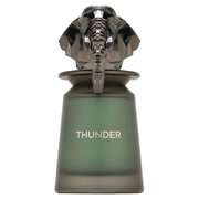 French Avenue Thunder Smaržas 100ml