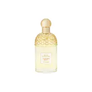 Guerlain Aqua Allegoria Mandarine Basilic Tualetes ūdens: testeris 125ml