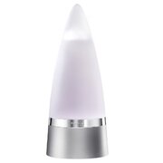 Rochas Man Tualetes ūdens 100ml