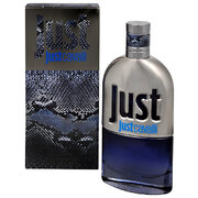 Roberto Cavalli Just Cavalli Him 2013 Tualetes ūdens