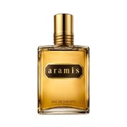Aramis Aramis Tualetes ūdens 110ml