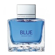 Antonio Banderas Blue Seduction For Men Tualetes ūdens: testeris 100ml