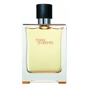 Hermes Terre D'Hermes Tualetes ūdens: testeris 100ml