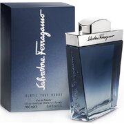 Salvatore Ferragamo Subtil Pour Homme Tualetes ūdens 100ml