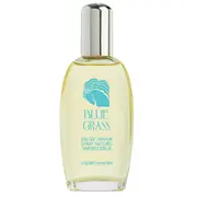Elizabeth Arden Blue Grass Smaržas 100ml