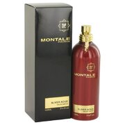 Montale Silver Aoud parfimērijas ūdens