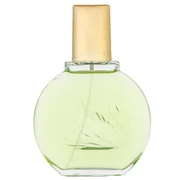 Gloria Vanderbilt Jardin A New York Smaržas 100ml